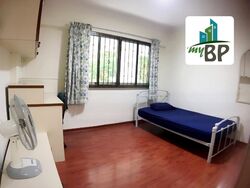 Blk 135 Cashew Road (Bukit Panjang), HDB Executive #441591731